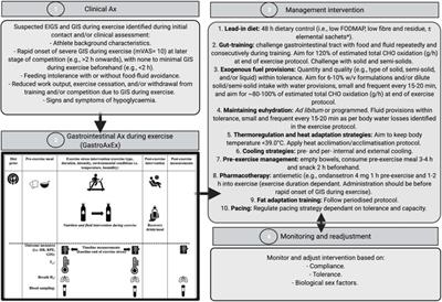 Gastrointestinal Assessment and Therapeutic Intervention for the Management of Exercise-Associated Gastrointestinal Symptoms: A Case Series Translational and Professional Practice Approach